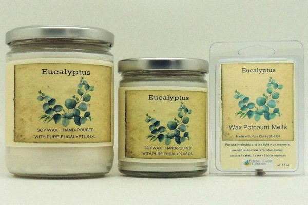 SoyCandle_Eucalyptus.jpg